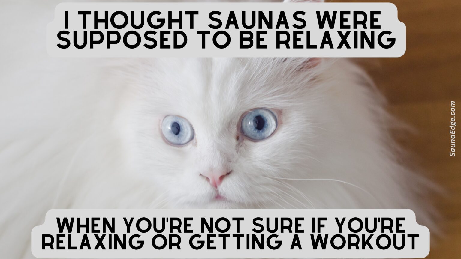 9 funny Sauna Memes to make you laugh while you sweat Sauna Edge