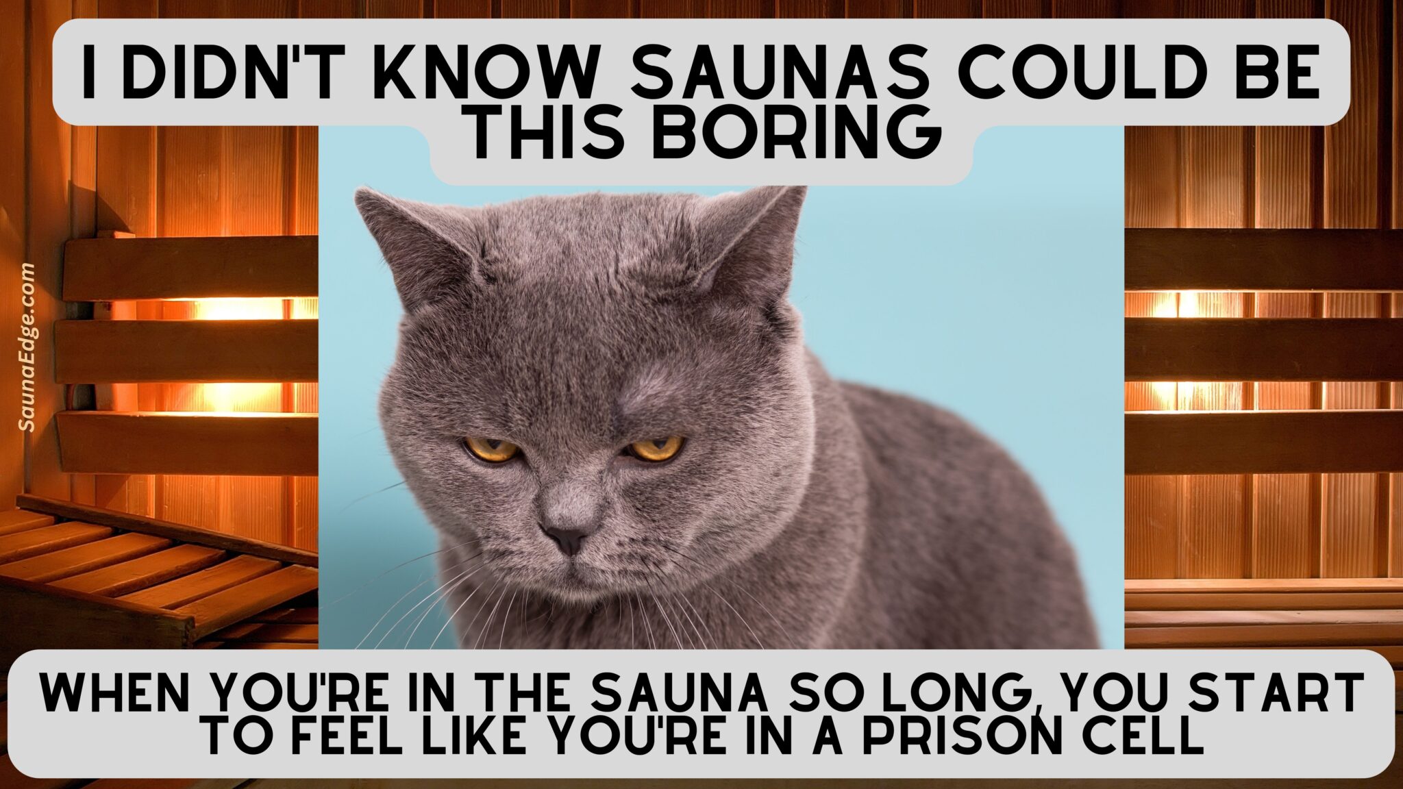 9 funny Sauna Memes to make you laugh while you sweat Sauna Edge